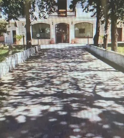 Uliveto تشيرينيولا